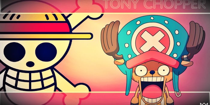 1920x1080 One Piece Chopper Wallpaper (80+ images)