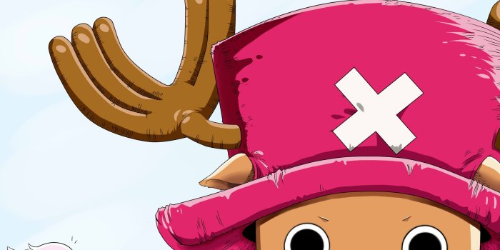 2267x1700 One Piece Chopper Wallpaper HD | Chopper is my favouitest thing ever
