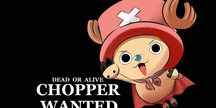 1920x1080 Tony Tony Chopper Wallpapers