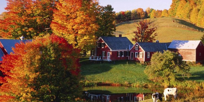 1920x1080 Autumn Desktop Wallpaper 1920×1080 #21692 HD Wallpaper Res