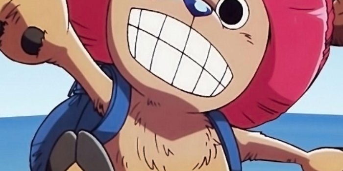 1080x1920 Tony Tony Chopper Wallpaper (45+), Find HD Wallpapers For Free
