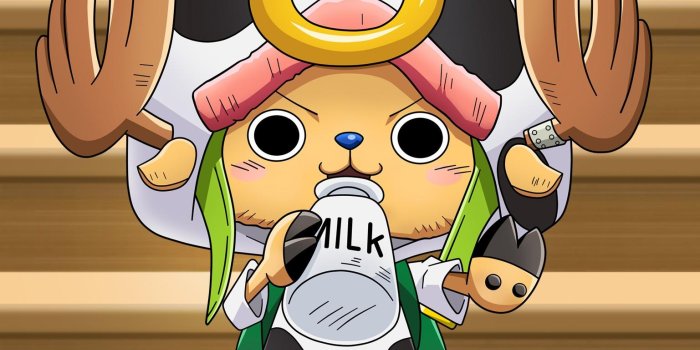 1537x2252 Chopper One Piece Wallpaper , (65+) image collections of wallpapers