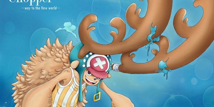 1280x1024 Tony Tony Chopper wallpapers 1280x1024 desktop backgrounds