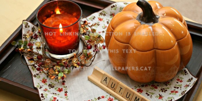 1600x1067 cozy autumn word fall halloween pumpkin