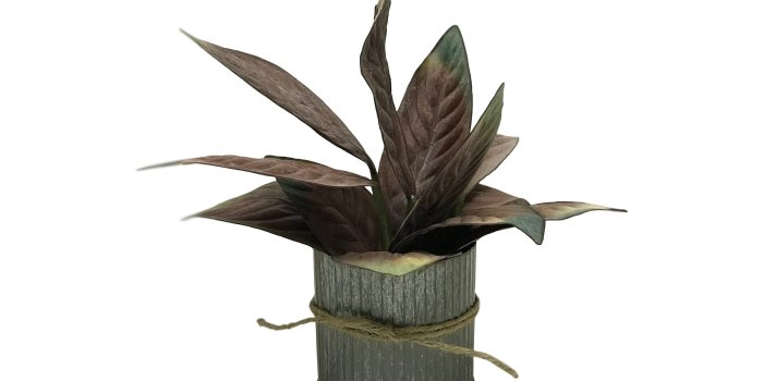 3024x3024 Farmhouse autumn magnolia leaf arrangement
