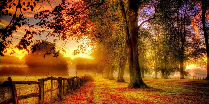 1920x1080 HD wallpaper: romantic, charming, natural, cosy, theatrical scenery