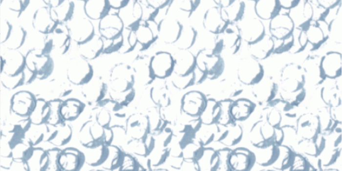 902x1688 Wallpaper – Jennifer Latimer