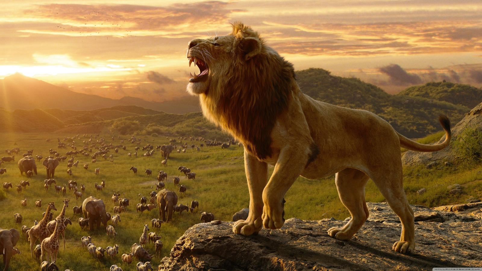 3840x2160 The Lion King 2019 ❤ 4K HD Desktop Wallpaper for 4K Ultra HD TV