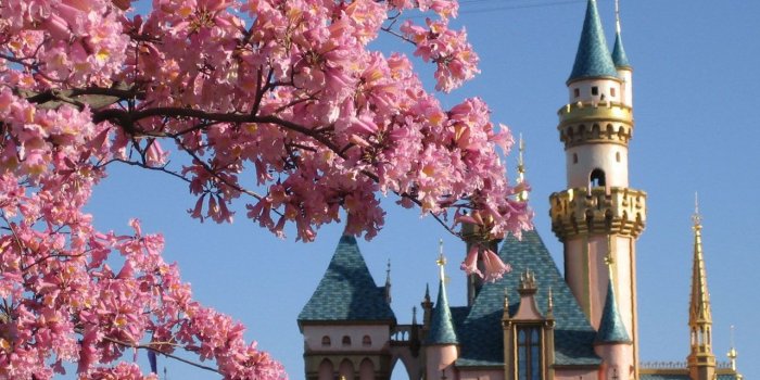 1280x960 Disney Desktops - AllEars.Net