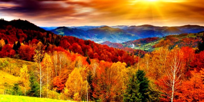 1440x910 Disney Fall Wallpaper (37+), Download 4K Wallpapers For Free