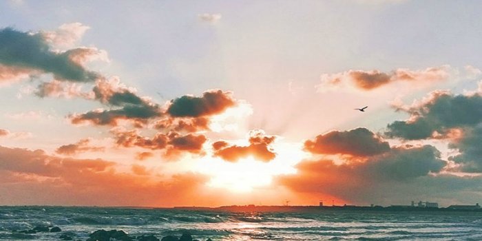 1080x1920 Nature Ocean Sunset Rock Beach Skyline #iPhone #6 #plus #wallpaper