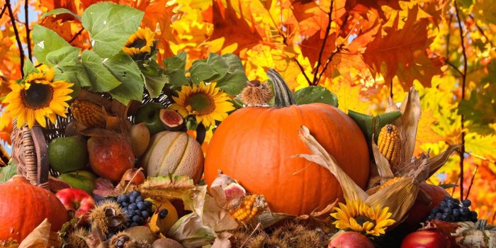 1920x1200 Fall Wallpaper Desktop (69+ pictures)