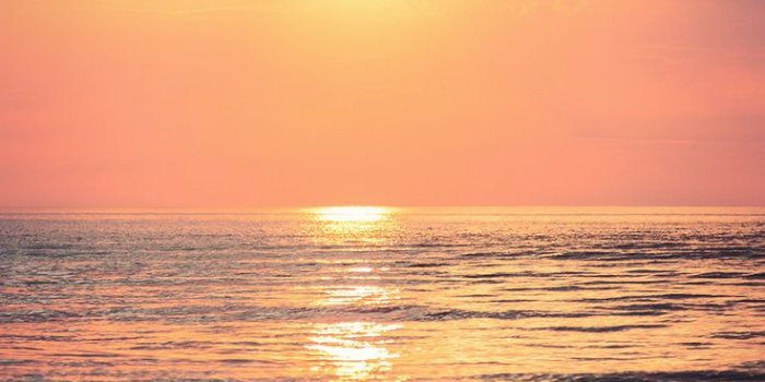 736x1308 Summer Ocean Sunset iPhone Wallpaper ☆ Download it at www
