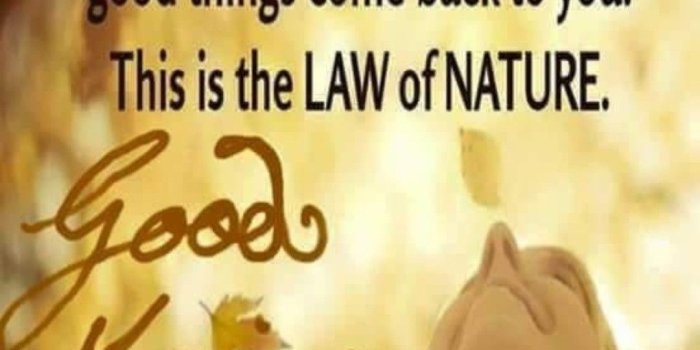 1080x1511 Prasuna Kamle on good mrng | Good morning quotes, Morning