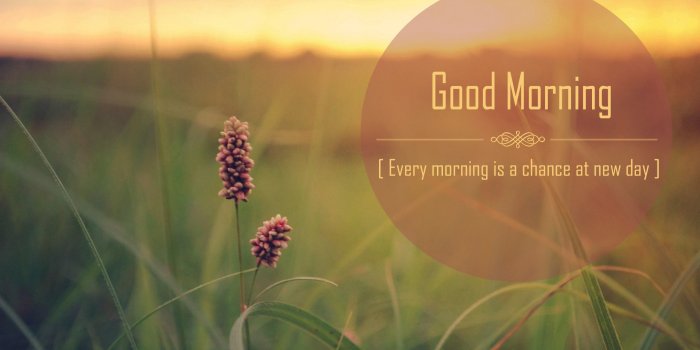 2560x1600 Inspiring Good Morning Quotes with HD Images