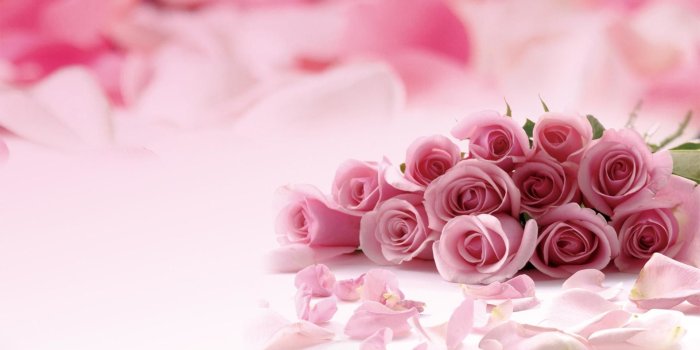 1920x1080 Pink Wallpaper for Computer (65+ pictures)