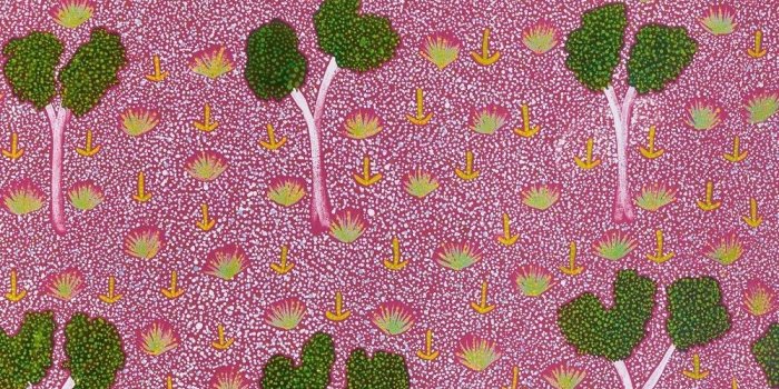 1000x1250 Wallpaper : Pink Wall Paper Girly Mobile Desktop Mint Green And Back