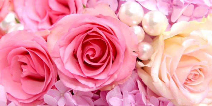 1920x1440 Cute Girly Wallpapers For Facebook (34+), Find HD Wallpapers For Free