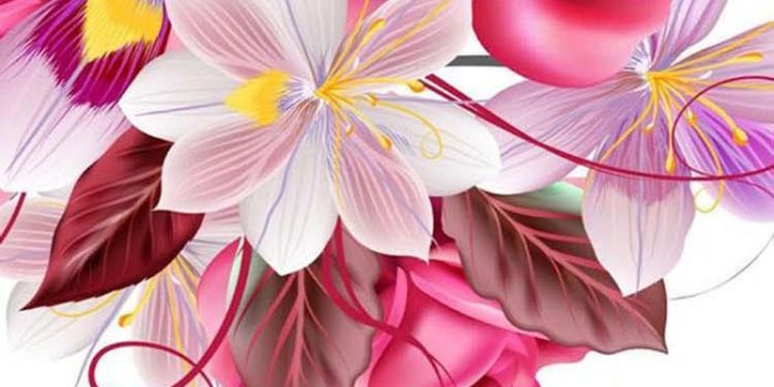 750x1334 Cute Girly Wallpaper (4K Ultra HD) for Android - APK Download