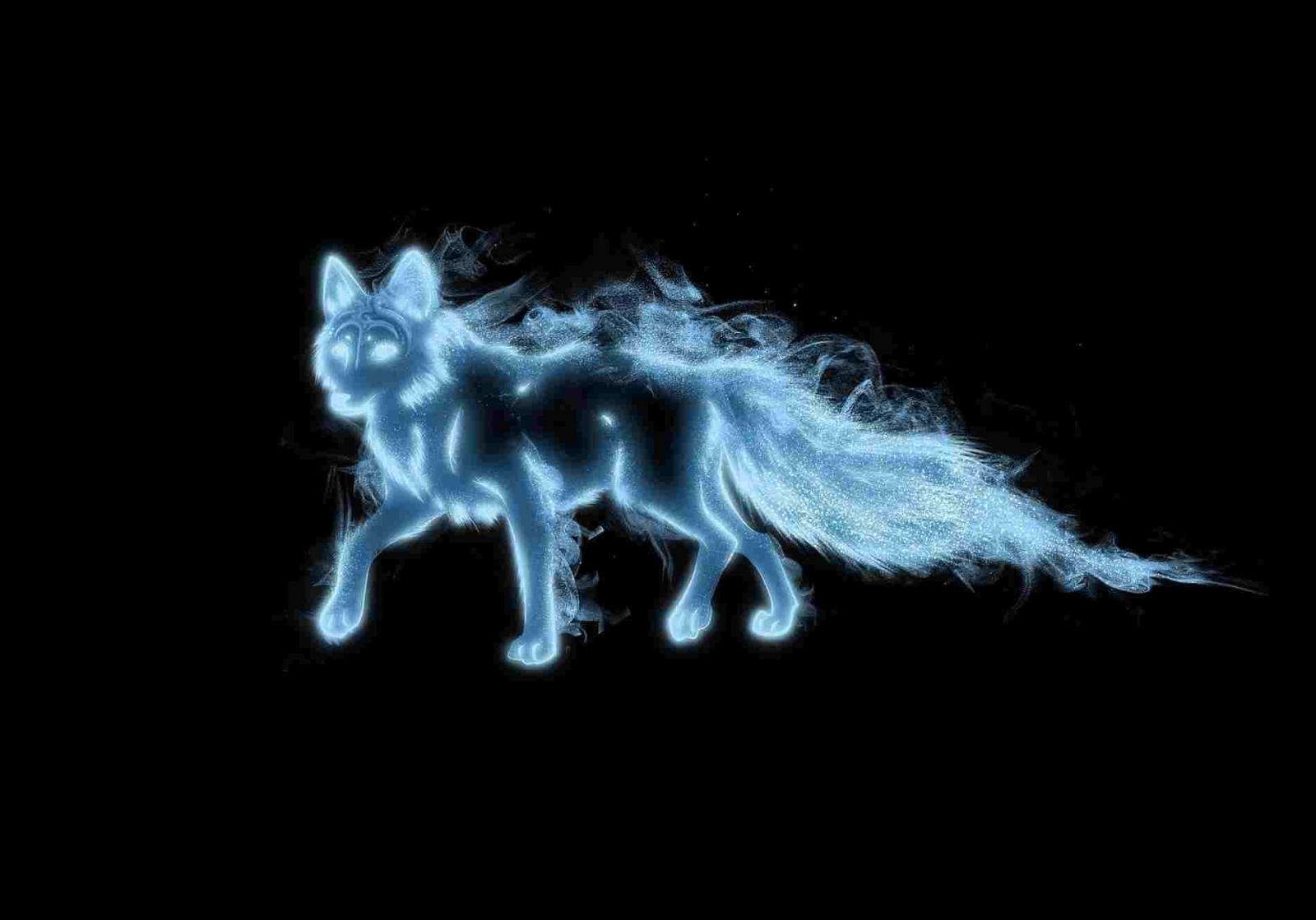 1900x1329 Patronus Drawing Charm Harry Potter Wiki Fandom Powered By