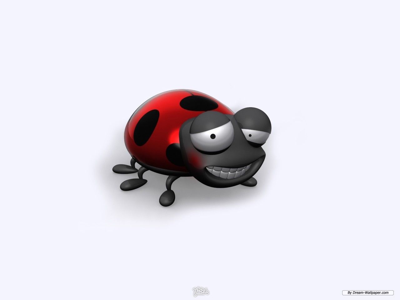 1280x960 Funny Animals Cartoon 5 Wide Wallpaper - Funnypicture.org