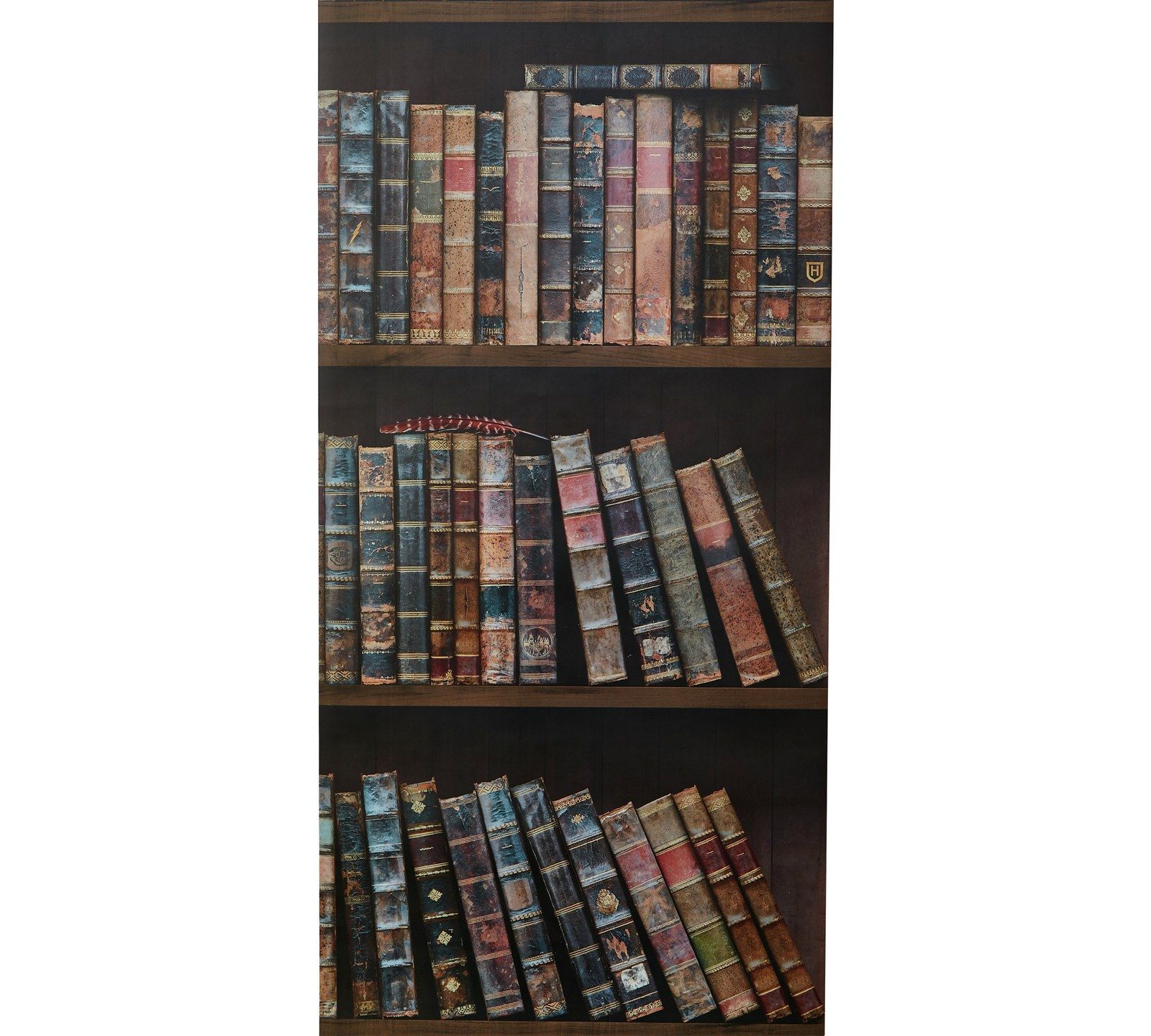 1600x1440 This Harry Potter–Themed Home and Lifestyle Collection Will Charm