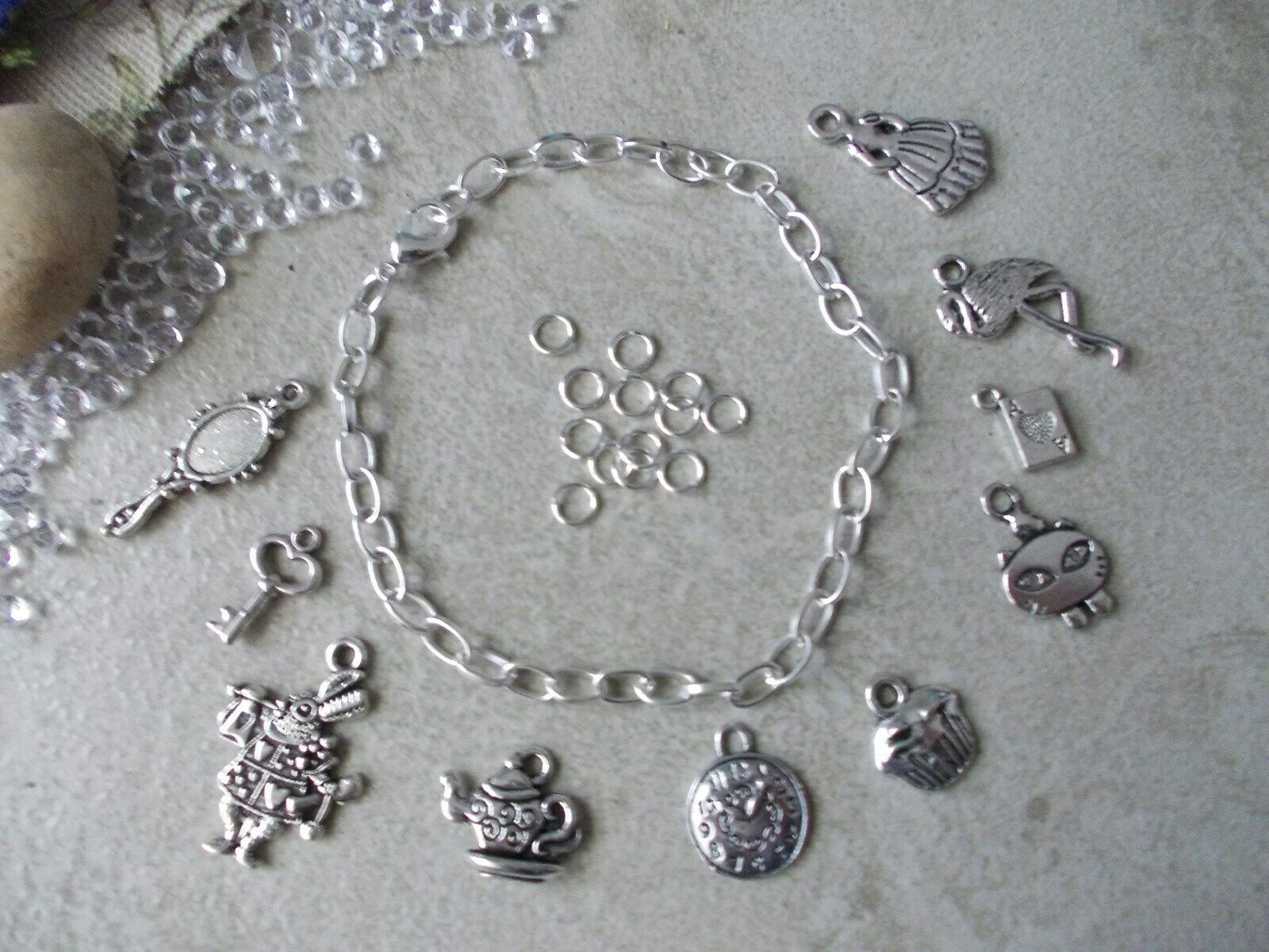 1600x1200 1 x MAKE YOURSELF CHARM BRACELET,CHOSE ALICE IN WONDERLAND,HARRY