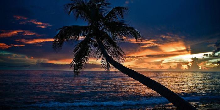 1920x1080 Beach At Night Wallpapers