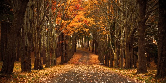 3820x2125 Best autumn wallpapers hd sayings and cards messages