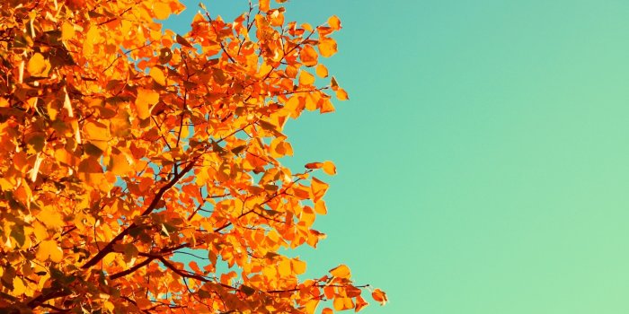 2560x1600 Retro Autumn ❤ 4K HD Desktop Wallpaper for 4K Ultra HD TV • Tablet