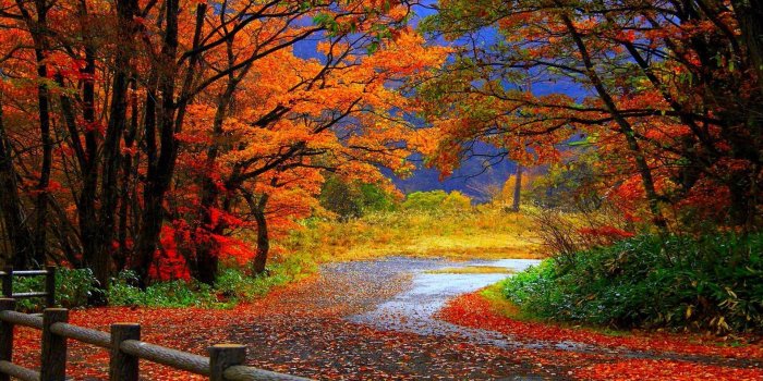 1920x1080 50+ Best Autumn Desktop Wallpapers - Download at WallpaperBro