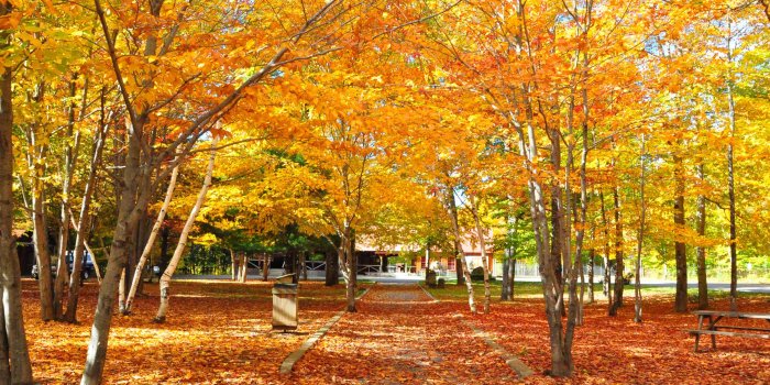 2560x1920 Autumn in colors, cashadvance6online.com for your desktop, (img type)