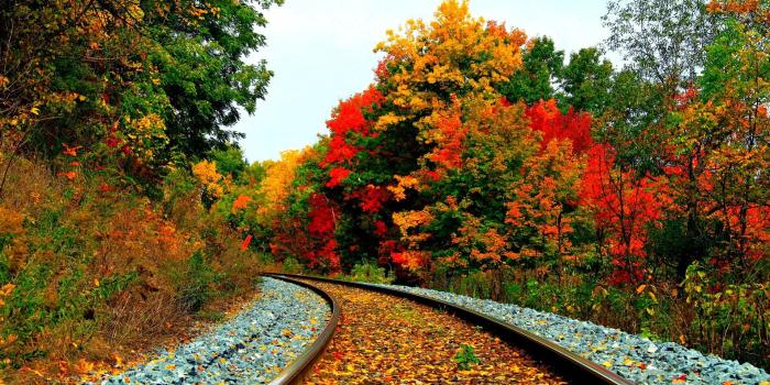 1920x1080 41 Autumn Wallpapers for Computers, Tablets, or Phones