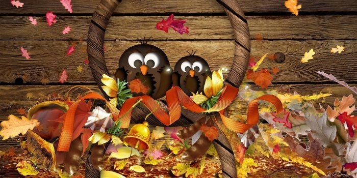 1920x1080 Fall Pumpkin Wallpaper and Screensavers (63+ images)