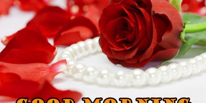 1586x1080 Good Morning Red Rose Pictures Images Photo Download - Good Morning