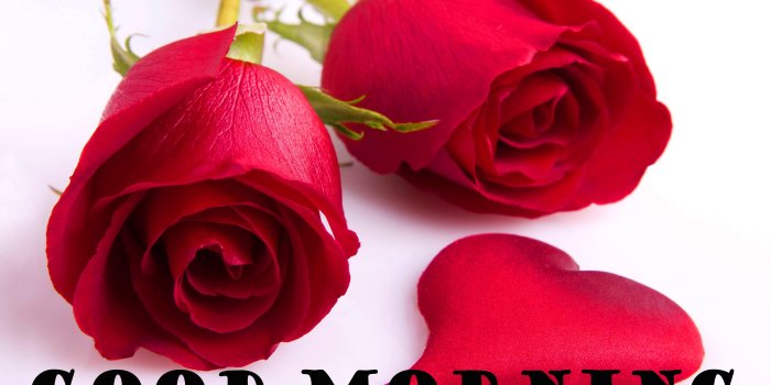 3000x2000 Romantic good morning images free download. Latest Good Morning