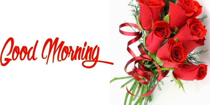 1440x1099 Good Morning Red Flowers Hd Wallpaper – HAPPY WONDER WORLD