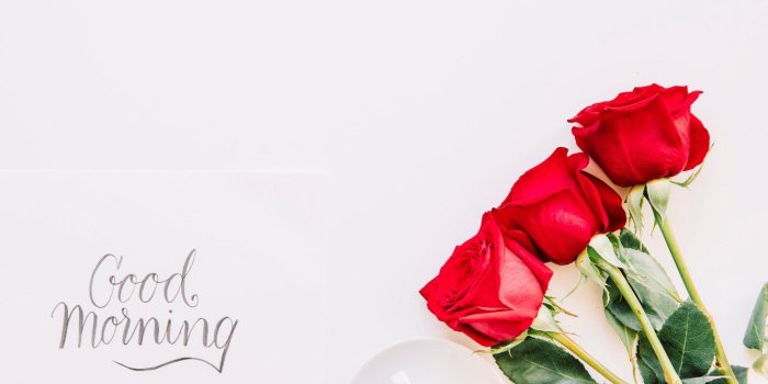 1332x850 Wallpaper roses, bouquet, red, red, cup, romantic, coffee, good