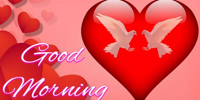 1280x900 गुड़ मॉर्निंग फोटो गुलाब good morning images