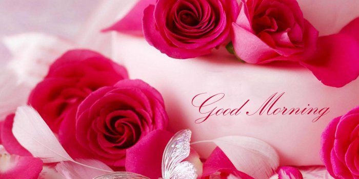 1680x1050 Good Morning Love Images with Red Roses Flower - HD Wallpapers