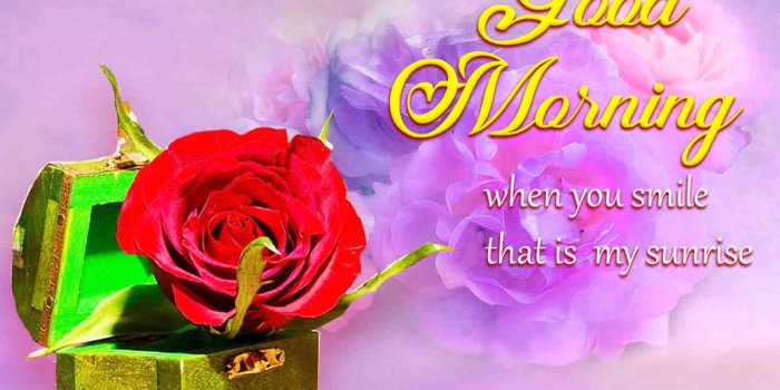 1280x900 गुड़ मॉर्निंग फोटो गुलाब good morning images