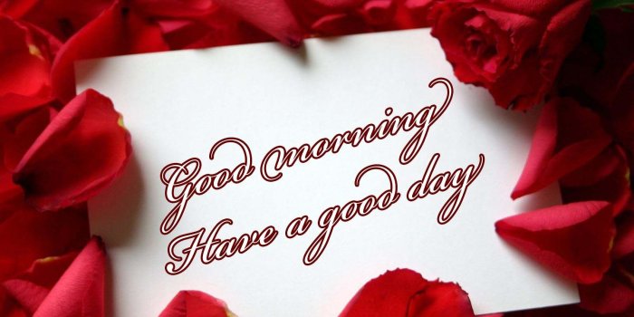 1600x1200 60+ Beautiful Good morning Have a nice day images