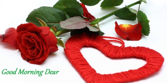 1198x758 Love Flower Good Morning Pic - Flowers Healthy