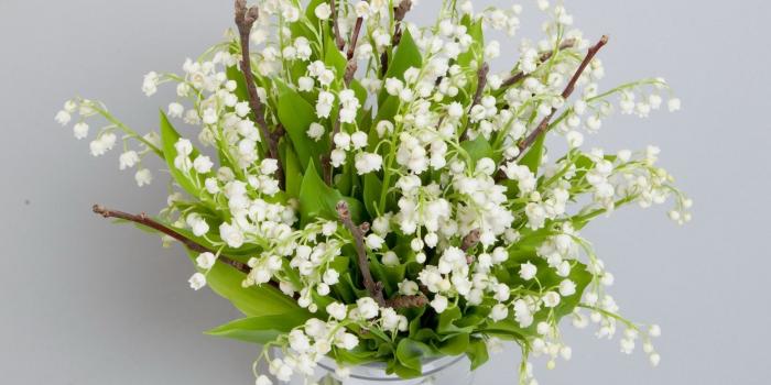 1920x1080 Lily Of The Valley Wallpaper 20 - 1920 X 1080