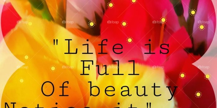 959x1280 Foap.com: Good morning wallpaper desingd by me, vibrant colours