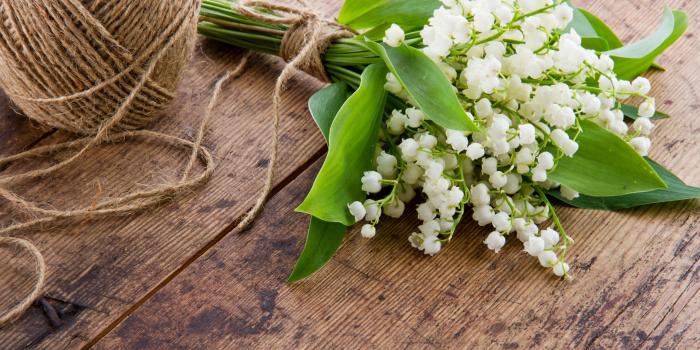 6000x4000 Wallpaper Bouquets flower Lilies of the valley 6000x4000