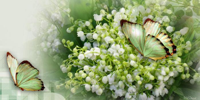 1920x1080 Butterfly Lily Valley HD desktop wallpaper : Widescreen : High