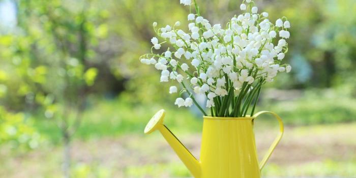 1332x850 Wallpaper flowers, bouquet, spring, lake, lilies of the valley