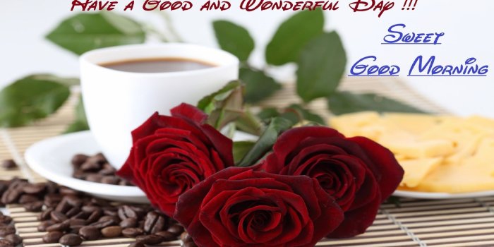 1920x1080 Good Morning Wallpaper Free Download (69+), Find HD Wallpapers For Free