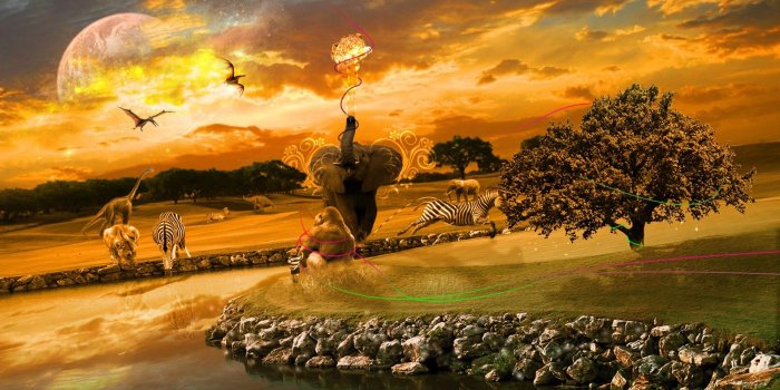 1920x1080 African Animals Wallpaper HD